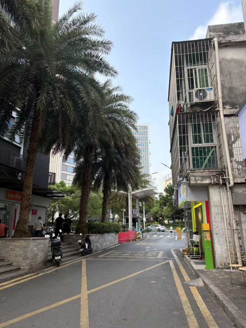 南山西丽旺铺花店转让w图3