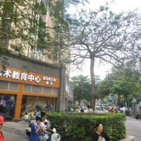 w龙岗保利上城花园（招租）