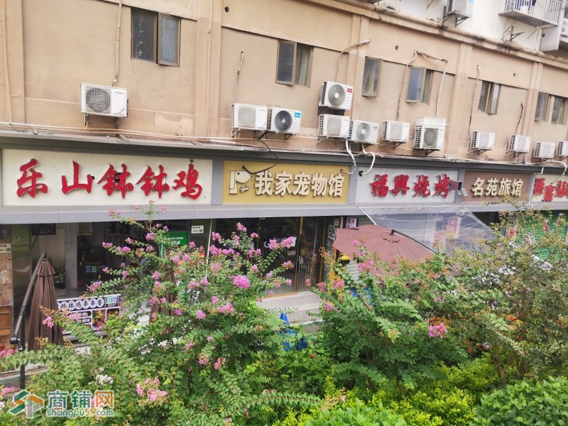 w福田区 乐山钵钵鸡图2