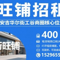 南宁安吉华尔街工谷商圈临街商铺