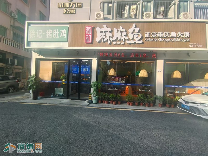 W宝安区西乡坪洲麻麻鱼重庆鱼火锅/餐饮/火锅/重庆火锅/旺铺/低价转让图2