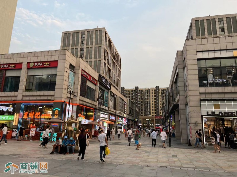 嘉定区门面出租 房东直租 江桥万达商铺出租 嘉定门面出租 江桥万达餐饮店铺图3