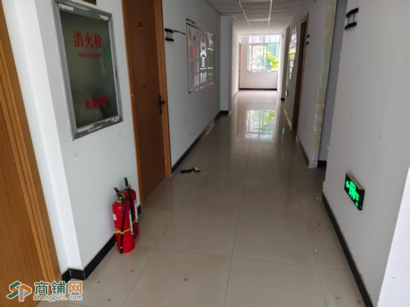 编号25237新华西路与朝阳路十字路口门市房东直租图5