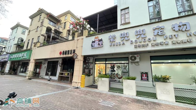 W龙岗区宠物店整体优价转让或合作图2