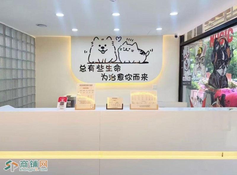 W龙岗区宠物店整体优价转让或合作图3