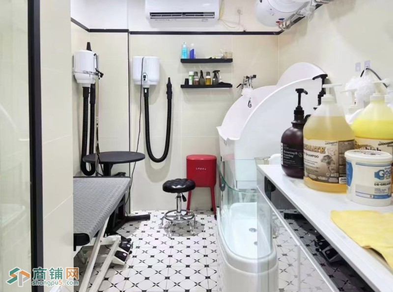 W龙岗区宠物店整体优价转让或合作图4