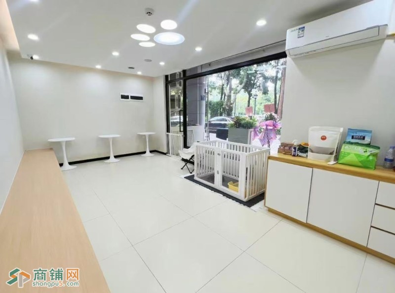W龙岗区宠物店整体优价转让或合作图5