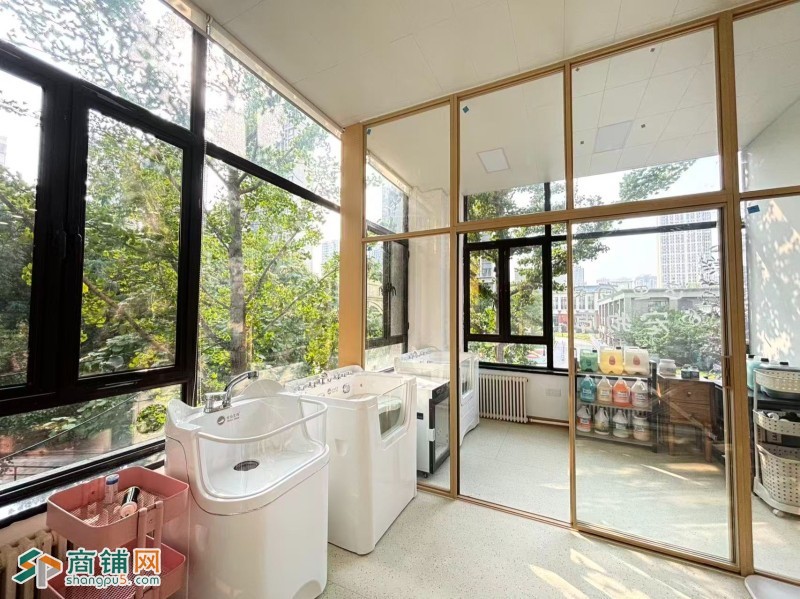 于洪区滨江街宠物店出兑可空兑兑费3万中海城图2